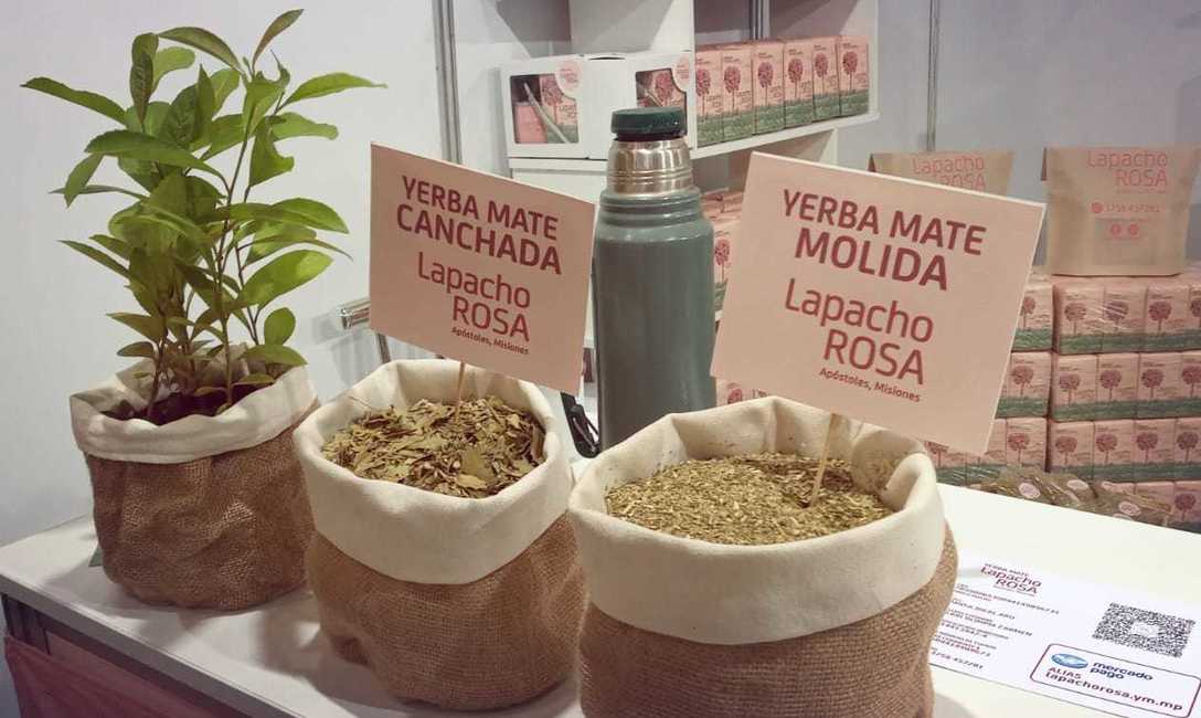 Imagen de Lapacho Rosa, de cumpleaños en MATEAR Imagen de Lapacho Rosa, de cumpleaños en MATEAR