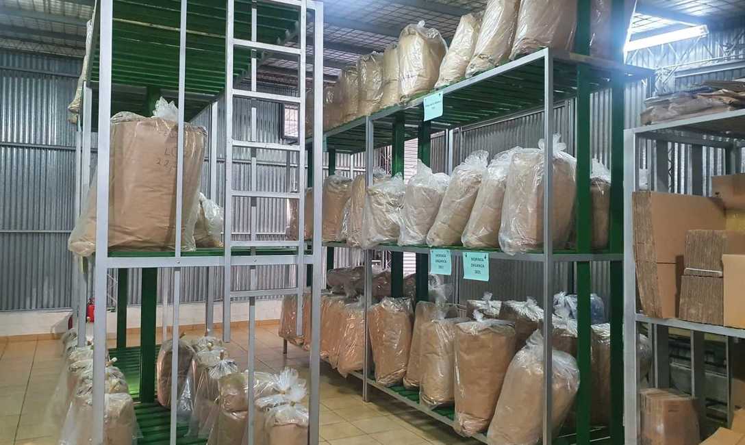 Imagen de Fidel Foods y su apuesta a productos que expresen al máximo las propiedades de la yerba mate Imagen de Fidel Foods y su apuesta a productos que expresen al máximo las propiedades de la yerba mate