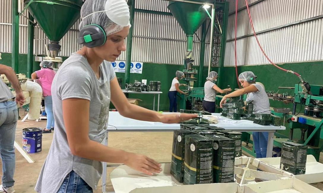 Imagen de Salió al mercado Yerba Mate Herencia, elaborada por una empresa familiar de San Pedro Imagen de Salió al mercado Yerba Mate Herencia, elaborada por una empresa familiar de San Pedro