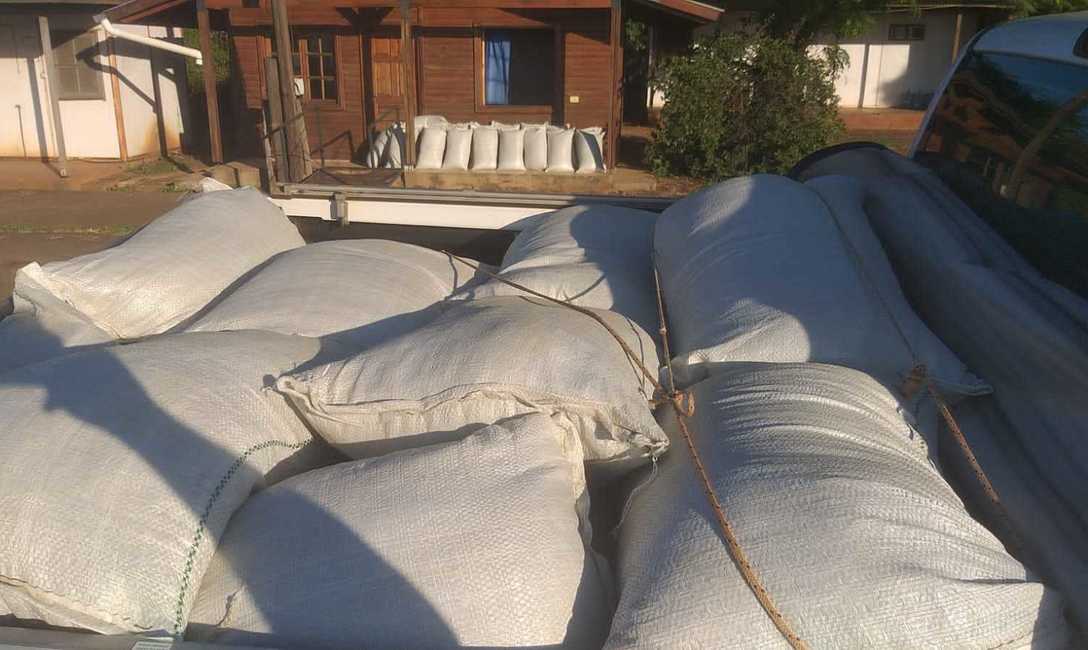 Imagen de Intervención de yerba sin estampilla Imagen de Intervención de yerba sin estampilla