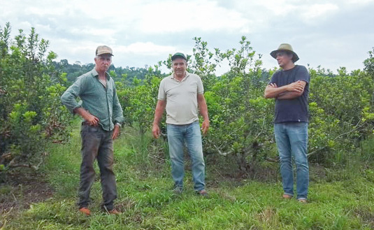Imagen de Directores del sector productivo recorrieron chacras de Comandante Andresito