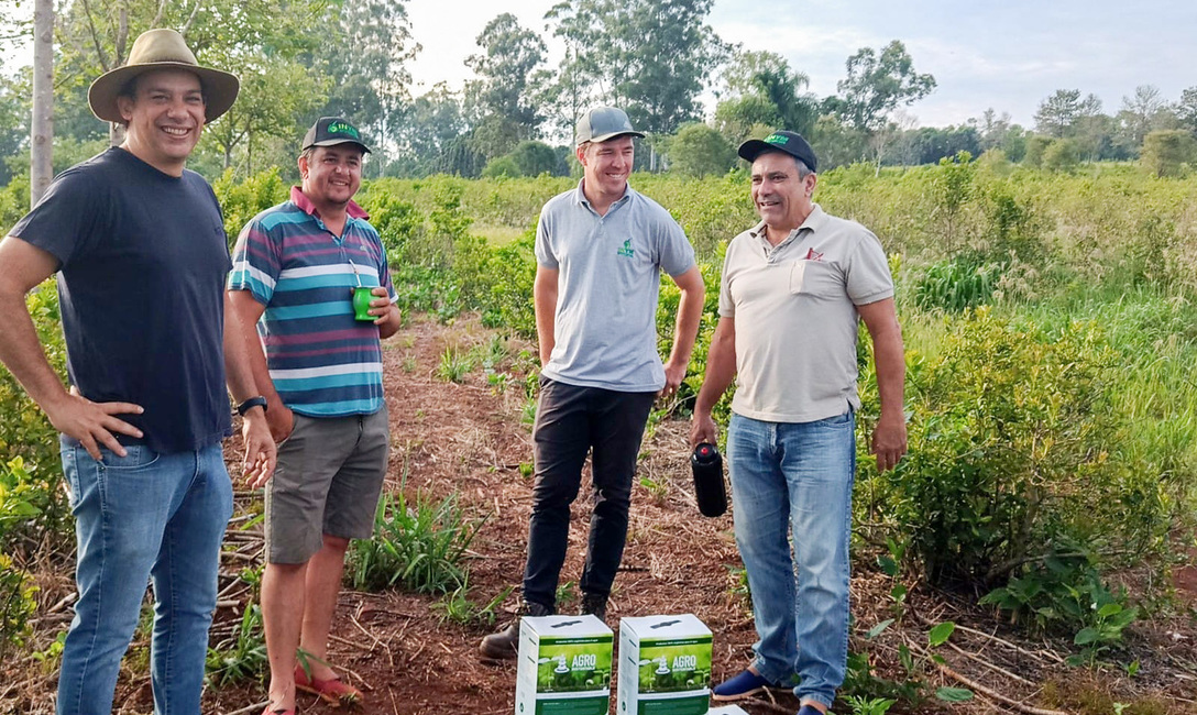 Imagen de Directores del sector productivo recorrieron chacras de Comandante Andresito Imagen de Directores del sector productivo recorrieron chacras de Comandante Andresito