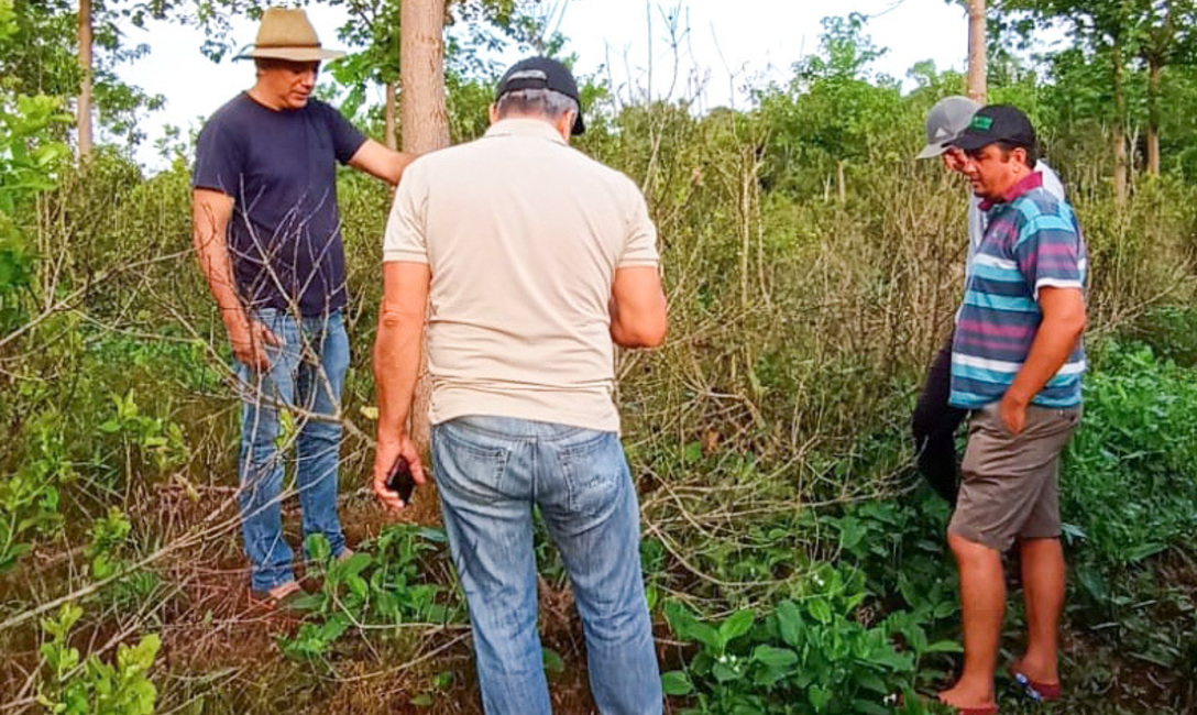 Imagen de Directores del sector productivo recorrieron chacras de Comandante Andresito Imagen de Directores del sector productivo recorrieron chacras de Comandante Andresito