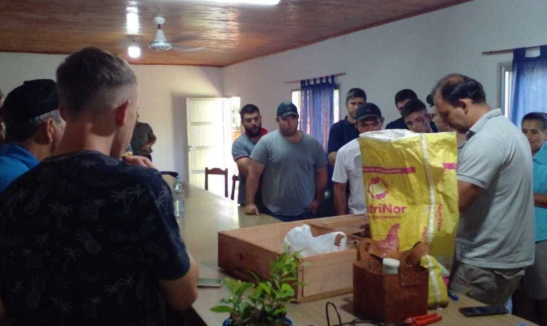 Imagen de ¿Qué mirar a la hora de elegir un plantin de yerba mate? Imagen de ¿Qué mirar a la hora de elegir un plantin de yerba mate?