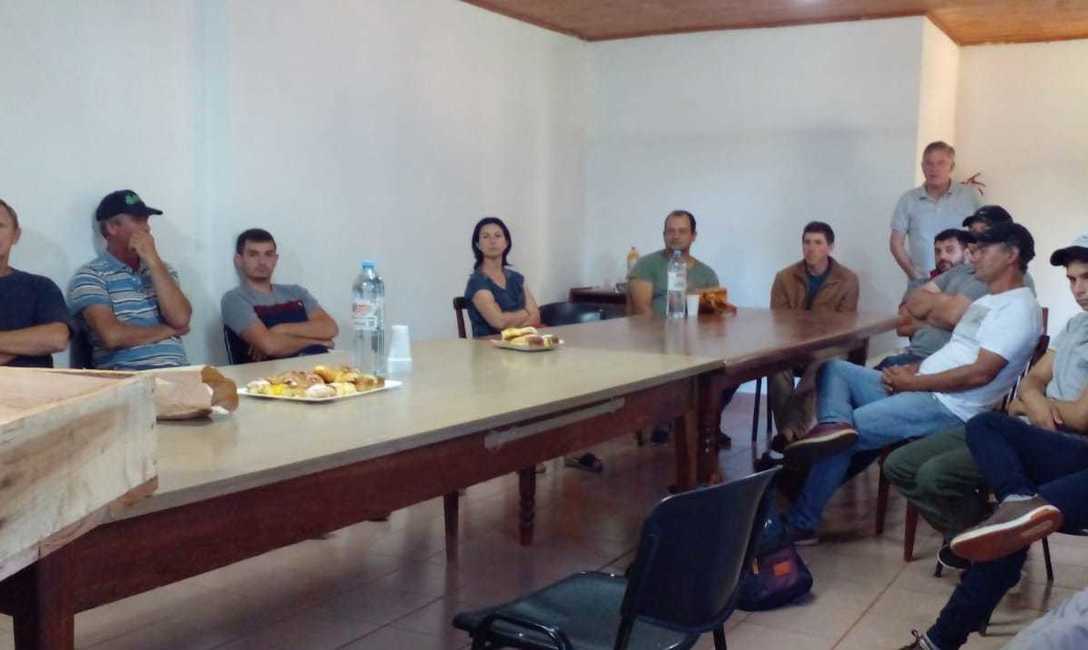 Imagen de ¿Qué mirar a la hora de elegir un plantin de yerba mate? Imagen de ¿Qué mirar a la hora de elegir un plantin de yerba mate?