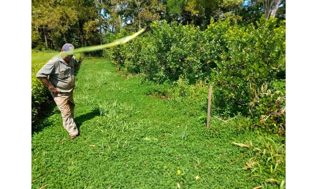 Imagen de Se inauguró la planta de abono y biofertilizantes para yerba mate y otros cultivos Imagen de Se inauguró la planta de abono y biofertilizantes para yerba mate y otros cultivos