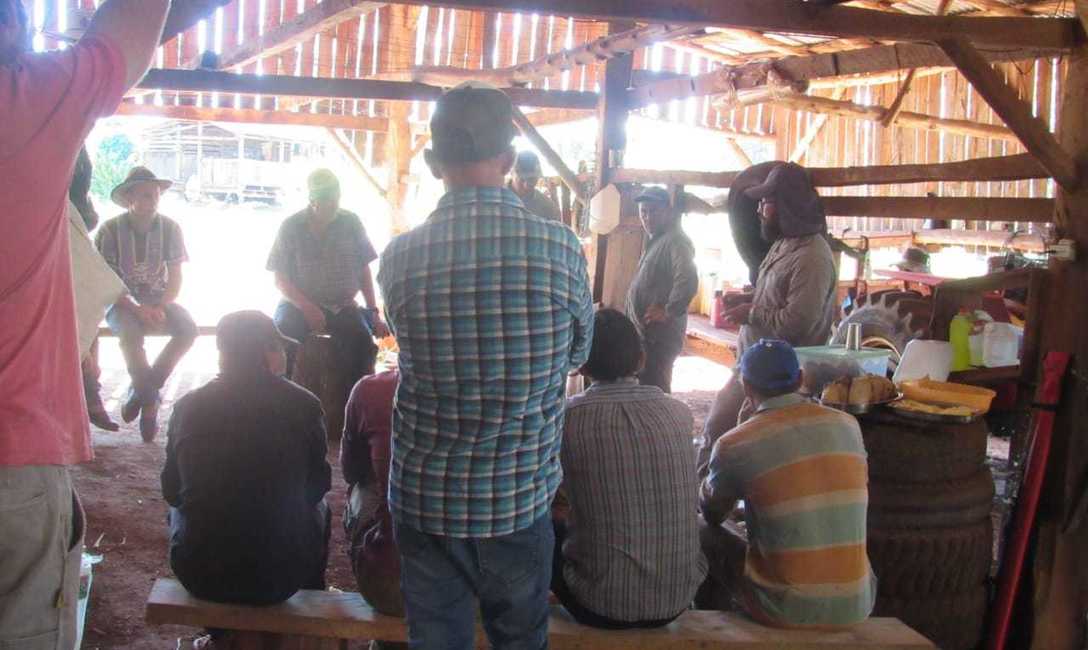 Imagen de Cómo mejorar el suelo y la cosecha de yerba mate, en La Semillera Imagen de Cómo mejorar el suelo y la cosecha de yerba mate, en La Semillera