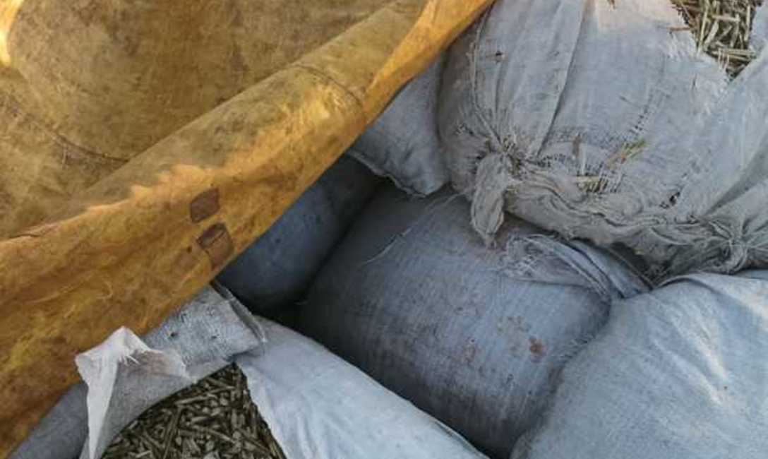 Imagen de El INYM intervino más de 7.000 kilos de palitos en un procedimiento en Comandante Andresito Imagen de El INYM intervino más de 7.000 kilos de palitos en un procedimiento en Comandante Andresito