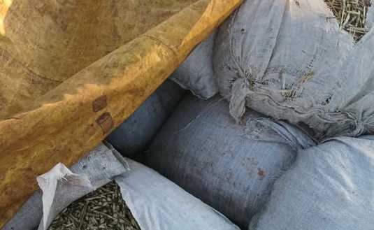 Imagen de El INYM intervino más de 7.000 kilos de palitos en un procedimiento en Comandante Andresito