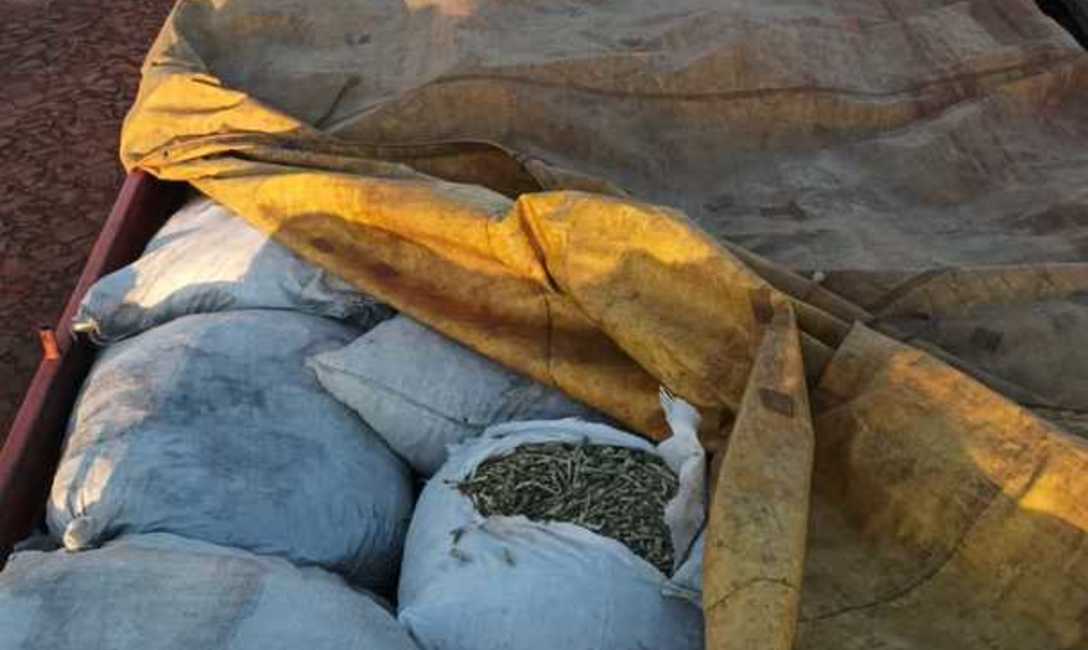 Imagen de El INYM intervino más de 7.000 kilos de palitos en un procedimiento en Comandante Andresito Imagen de El INYM intervino más de 7.000 kilos de palitos en un procedimiento en Comandante Andresito