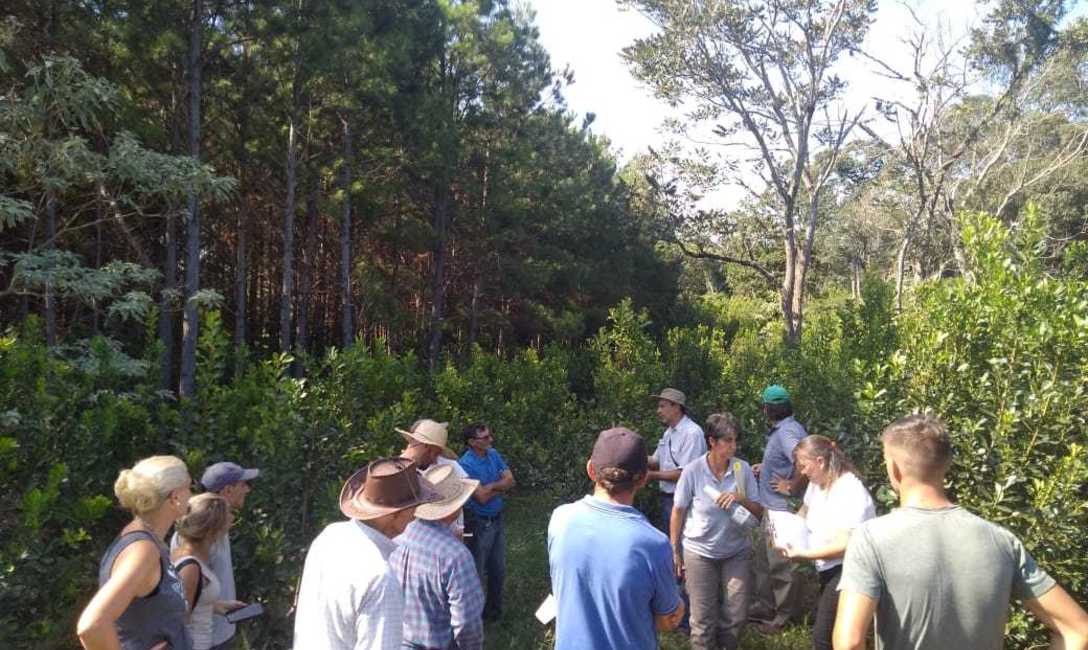 Imagen de Jornada sobre suelo, árboles y agroecología en Los Helechos Imagen de Jornada sobre suelo, árboles y agroecología en Los Helechos