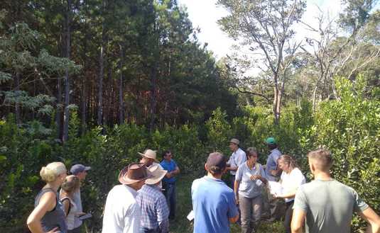 Imagen de Jornada sobre suelo, &aacute;rboles y agroecolog&iacute;a en Los Helechos