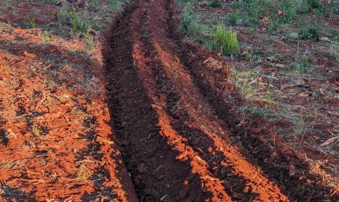 Imagen de En la chacra de Dutka, capacitaci&oacute;n para evitar erosi&oacute;n y retener el agua