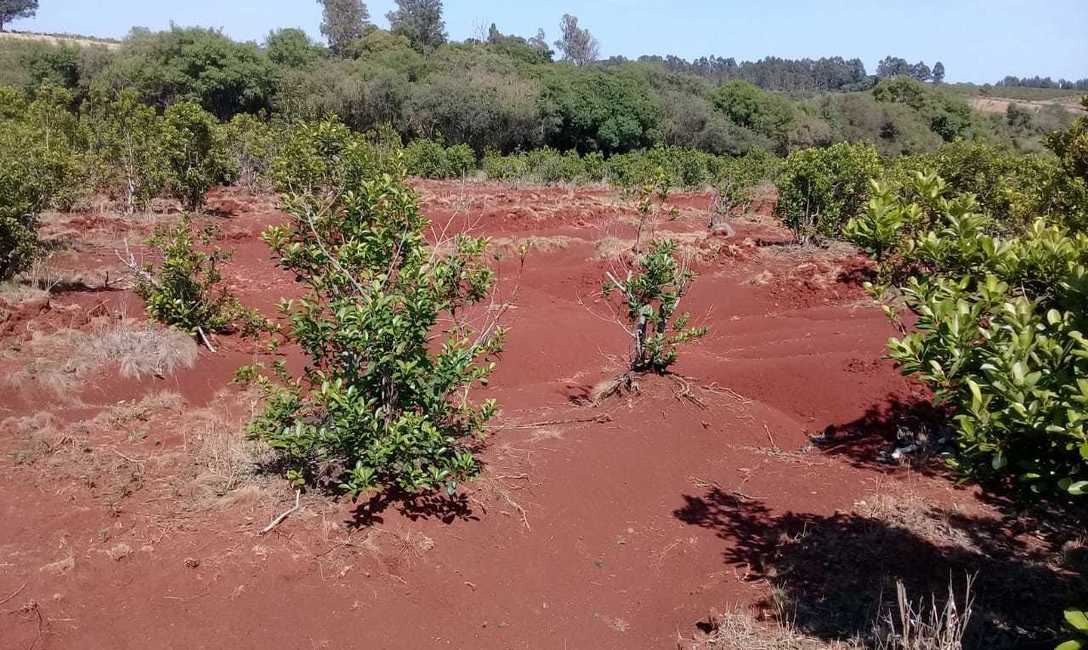 La erosi&oacute;n h&iacute;drica, visible en suelos desprotegidos.