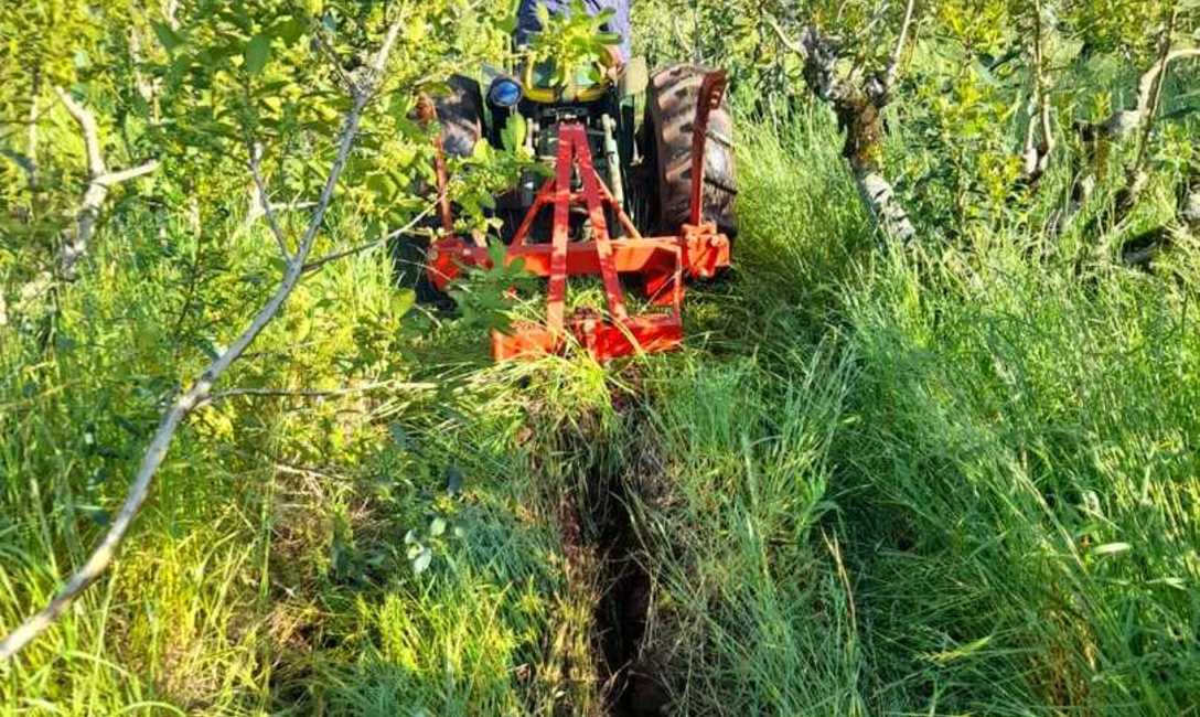 Labranza vertical, una de las pr&aacute;cticas adecuadas de manejo de suelos.