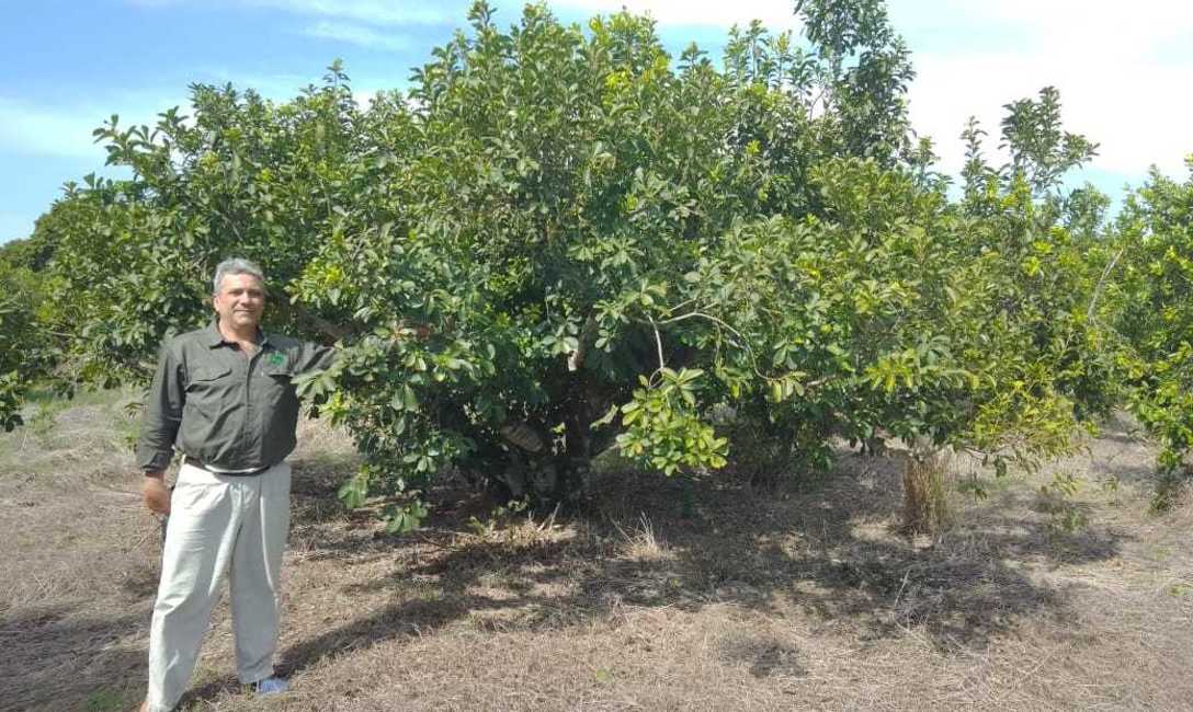 Imagen de Capacitación para tareferos Imagen de Capacitación para tareferos