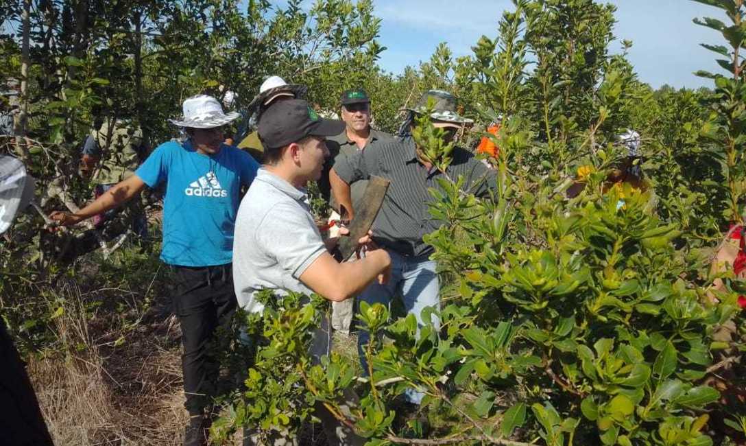 Imagen de Capacitación para tareferos Imagen de Capacitación para tareferos