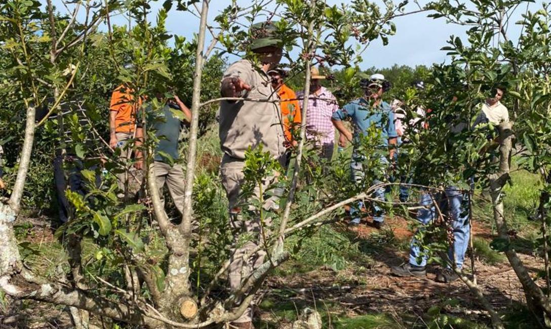 Imagen de Capacitación para tareferos Imagen de Capacitación para tareferos