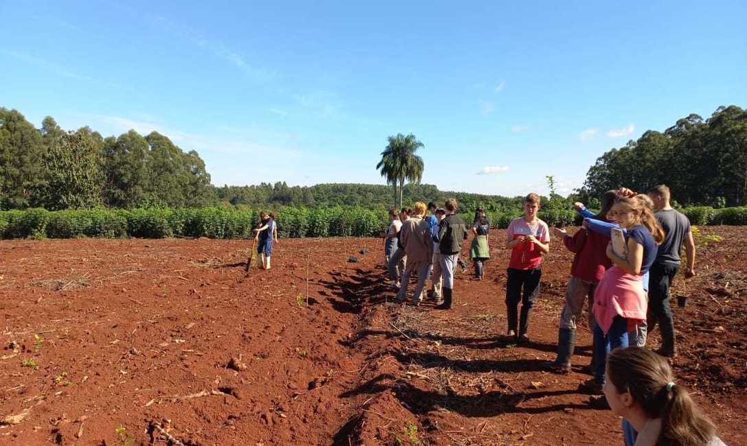 Imagen de Sistematización de suelos y plantación de árboles en la EFA de Capioví Imagen de Sistematización de suelos y plantación de árboles en la EFA de Capioví