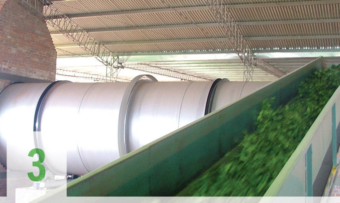 Imagen de De las chacras a los mates argentinos: así se produce la yerba mate Imagen de De las chacras a los mates argentinos: así se produce la yerba mate