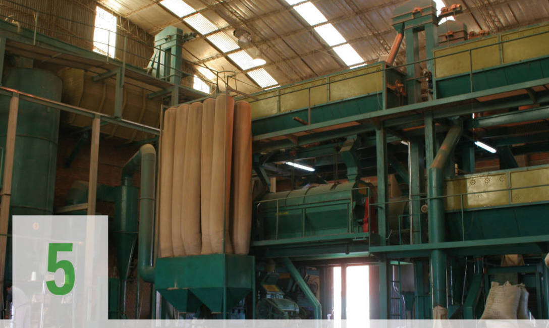 Imagen de De las chacras a los mates argentinos: así se produce la yerba mate Imagen de De las chacras a los mates argentinos: así se produce la yerba mate