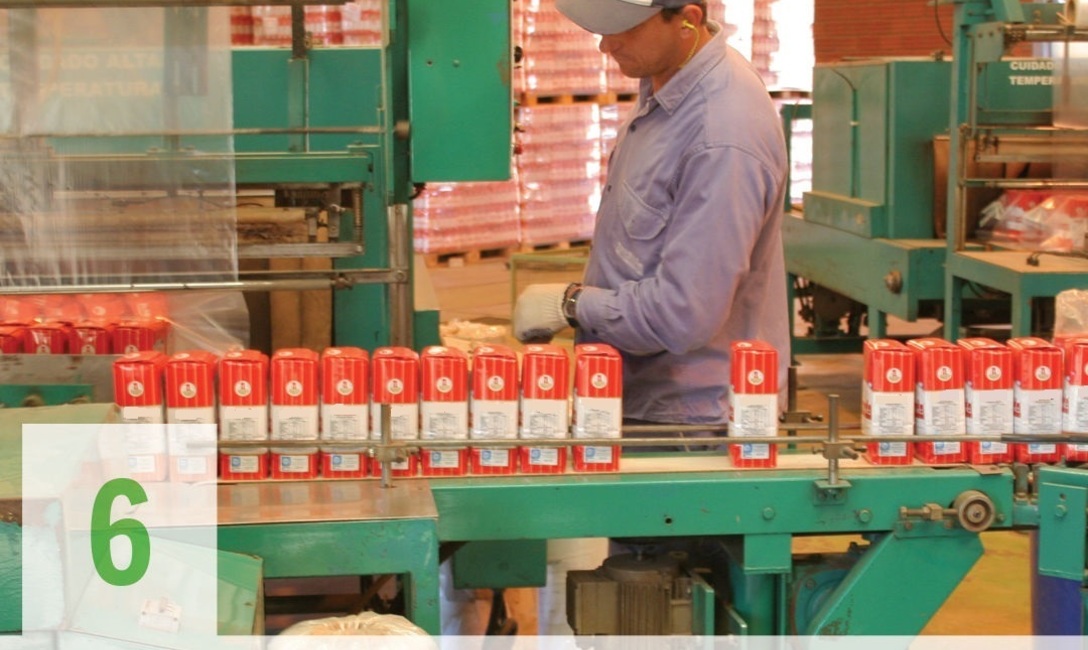 Imagen de De las chacras a los mates argentinos: así se produce la yerba mate Imagen de De las chacras a los mates argentinos: así se produce la yerba mate