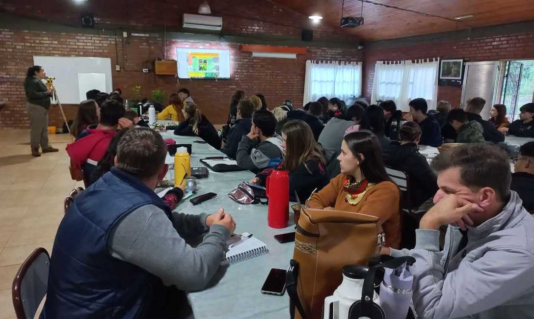 Imagen de Suelo cuidado, &aacute;rboles y poda de formaci&oacute;n para mejorar la productividad