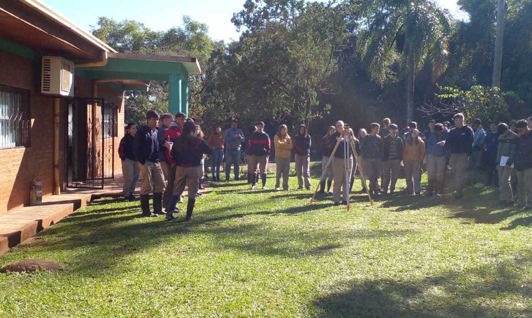 Imagen de Suelo cuidado, &aacute;rboles y poda de formaci&oacute;n para mejorar la productividad