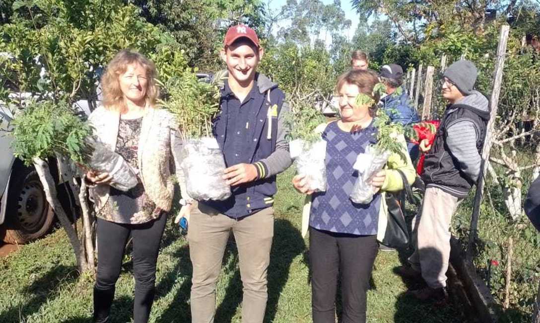 Imagen de Suelo cuidado, &aacute;rboles y poda de formaci&oacute;n para mejorar la productividad