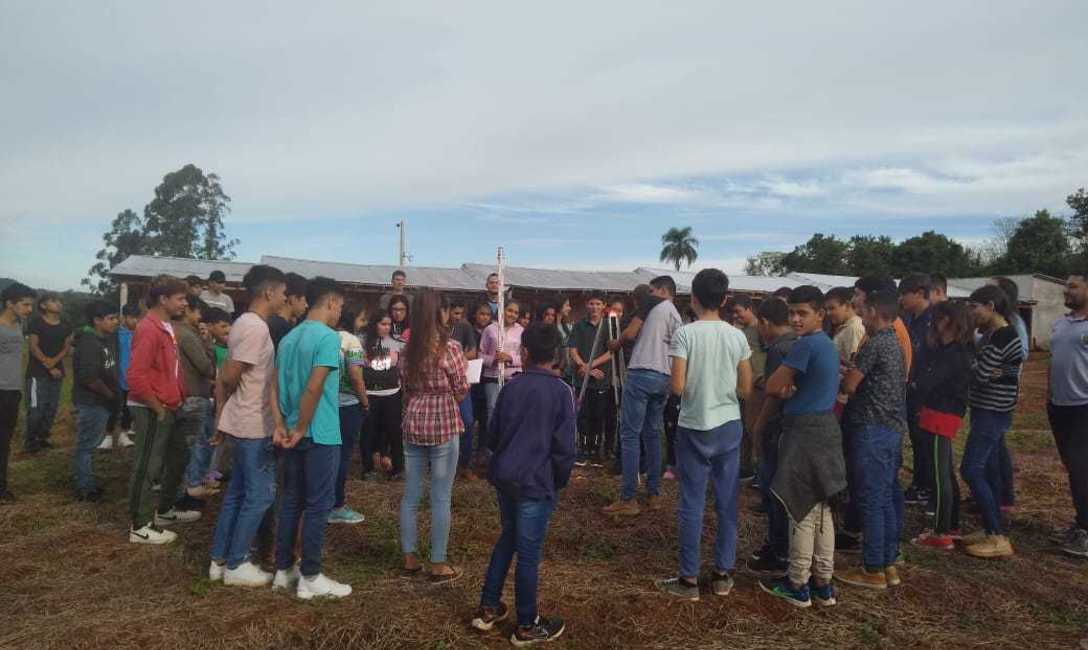 Imagen de Suelo cuidado, &aacute;rboles y poda de formaci&oacute;n para mejorar la productividad