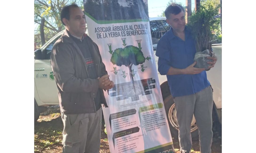 Imagen de &Aacute;rboles para producci&oacute;n sustentable en yerbales