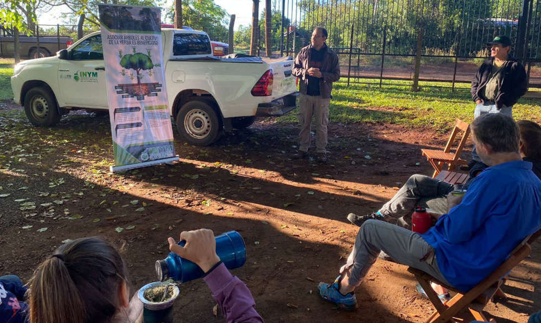 Imagen de &Aacute;rboles para producci&oacute;n sustentable en yerbales