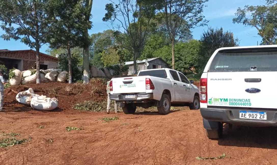 Imagen de El INYM profundiza los operativos de control desde el inicio de la zafra gruesa Imagen de El INYM profundiza los operativos de control desde el inicio de la zafra gruesa