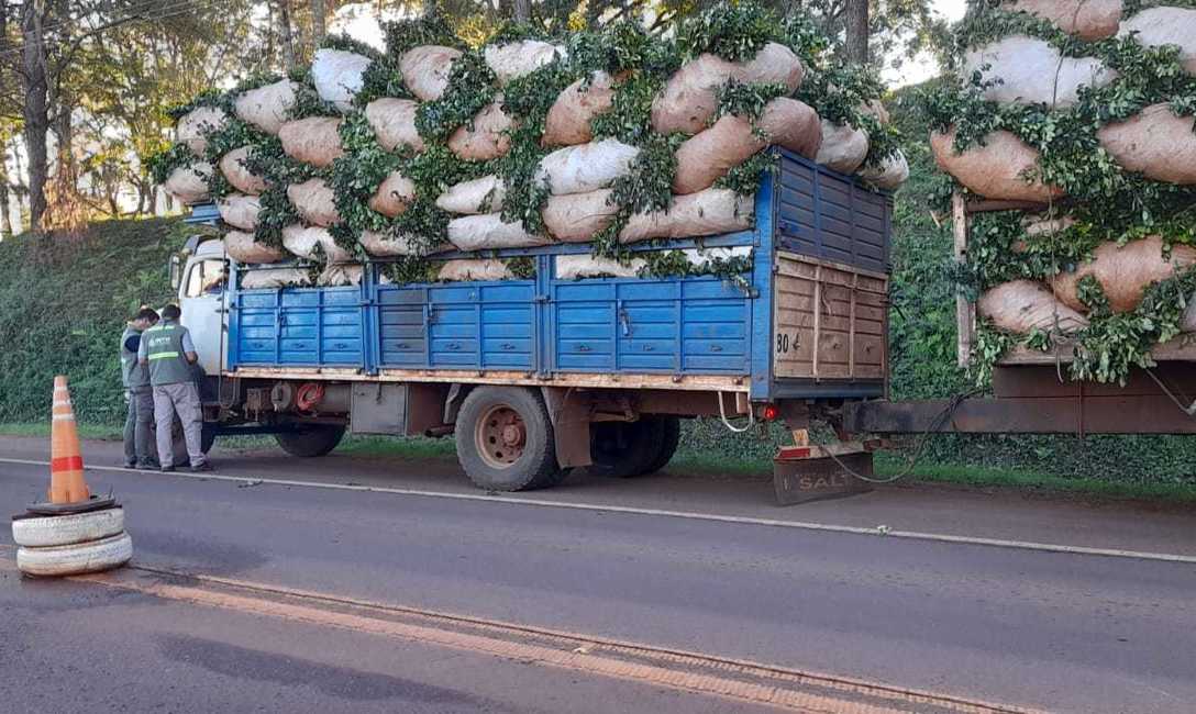 Imagen de El INYM profundiza los operativos de control desde el inicio de la zafra gruesa Imagen de El INYM profundiza los operativos de control desde el inicio de la zafra gruesa