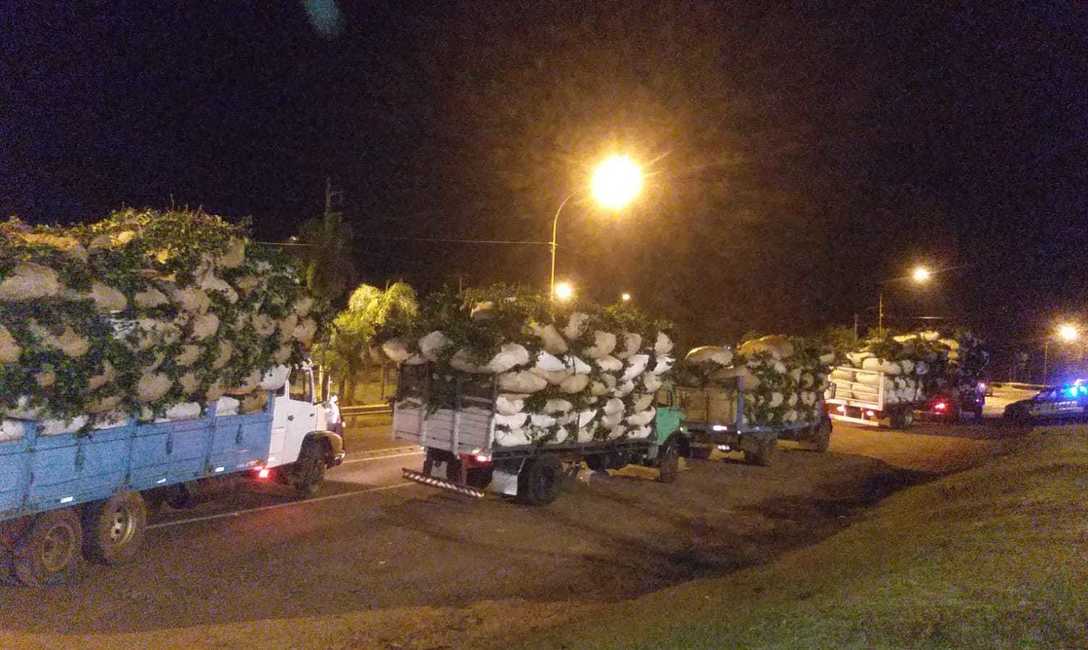 Imagen de El INYM profundiza los operativos de control desde el inicio de la zafra gruesa Imagen de El INYM profundiza los operativos de control desde el inicio de la zafra gruesa
