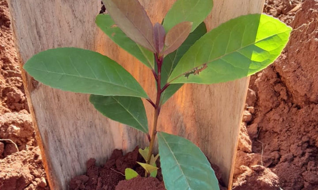 Imagen de Curvas a nivel, �ponchos� y cubiertas verdes en charlas del INYM con los j&oacute;venes