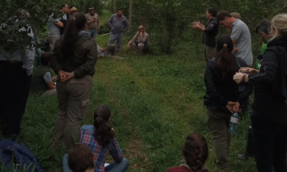 Imagen de La agroecolog&iacute;a es la herramienta m&aacute;s completa para la actividad yerbatera