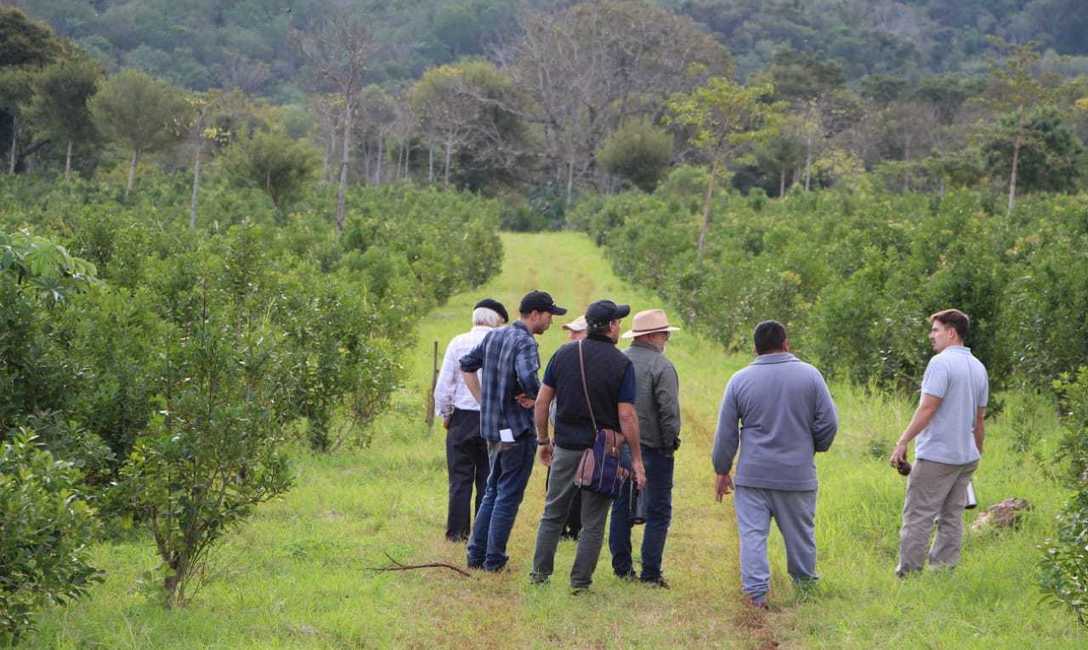 Imagen de La agroecolog&iacute;a es la herramienta m&aacute;s completa para la actividad yerbatera