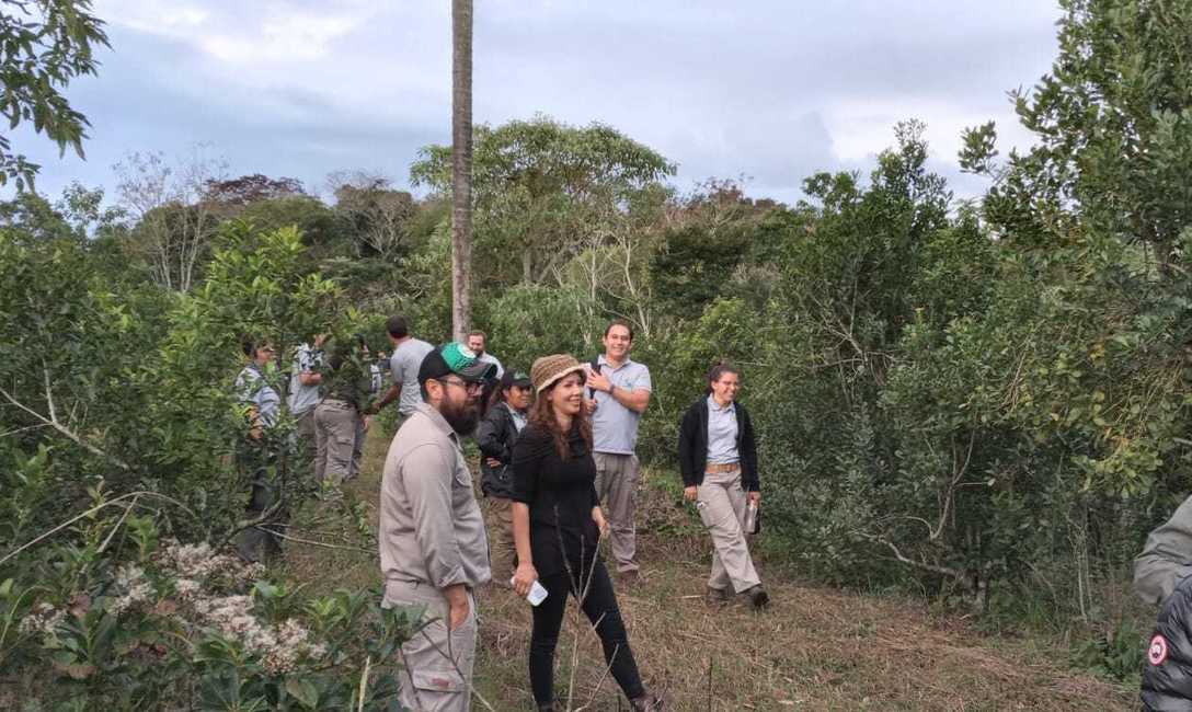 Imagen de La agroecolog&iacute;a es la herramienta m&aacute;s completa para la actividad yerbatera