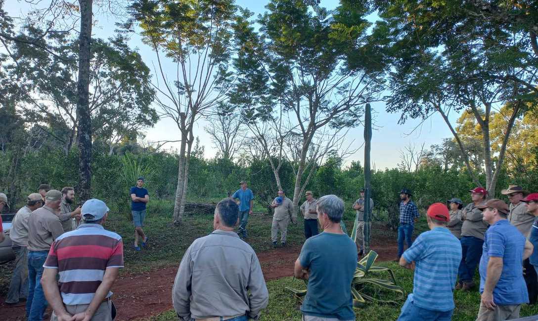 Imagen de Bioinsumos y manejo de plantas de yerba mate