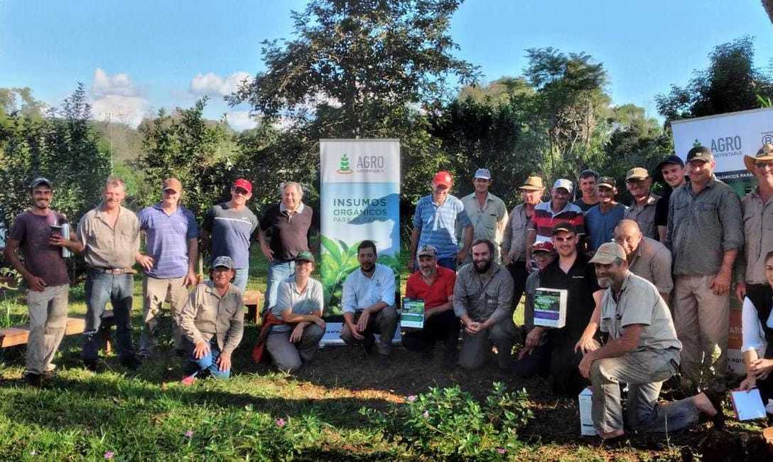 Imagen de Bioinsumos y manejo de plantas de yerba mate