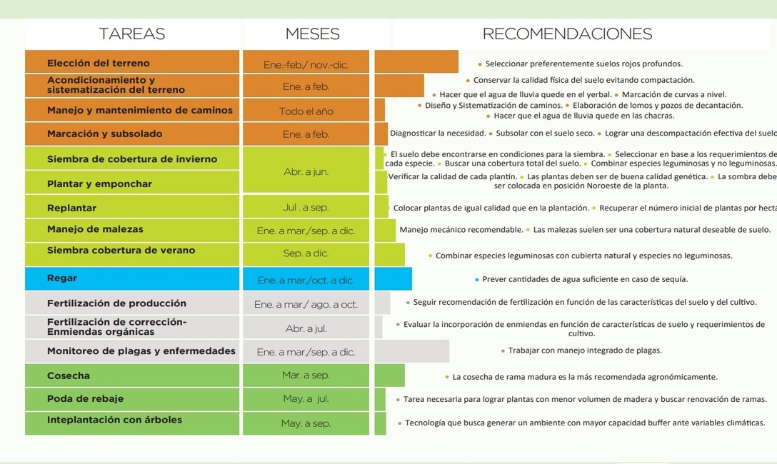 Imagen de Calendario de actividades en el yerbal Imagen de Calendario de actividades en el yerbal