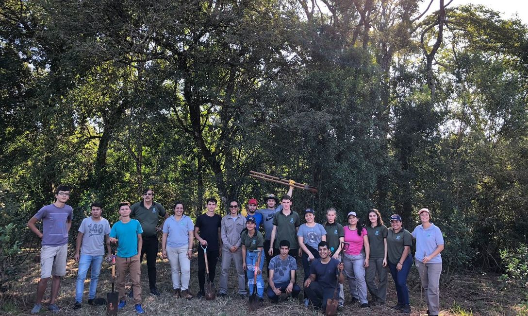 Imagen de &Aacute;rboles para yerbales productivos y sustentables en San Vicente