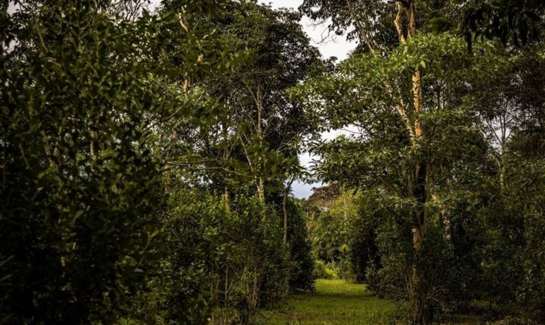 Foto: Reserva Deja V&uacute;.