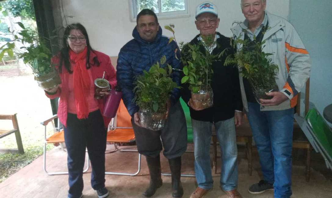 Imagen de Capacitaci&oacute;n sobre &aacute;rboles en el yerbal