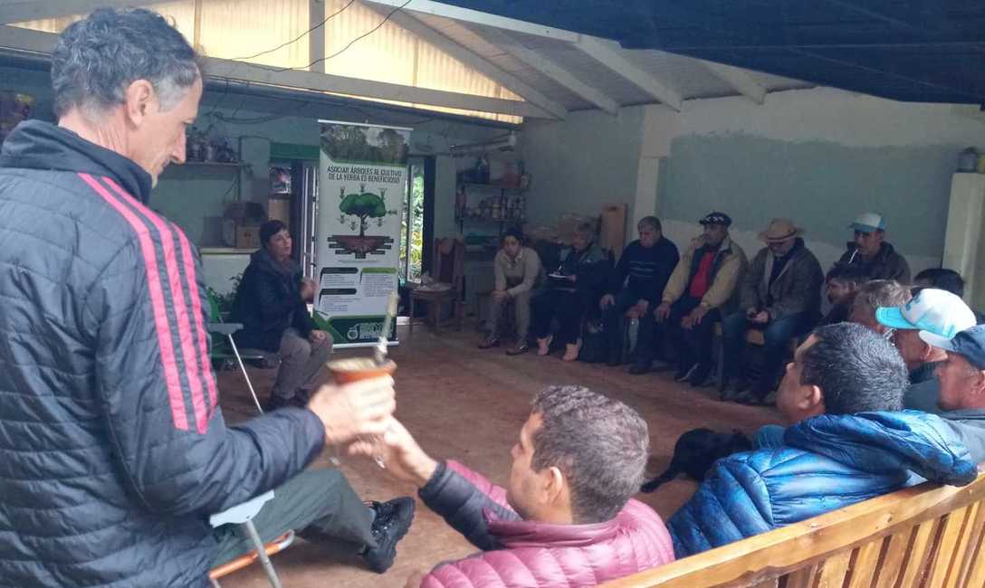 Imagen de Capacitaci&oacute;n sobre &aacute;rboles en el yerbal