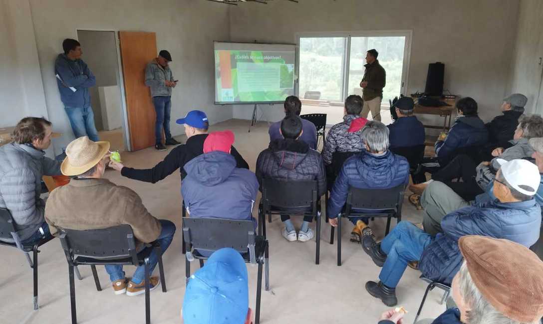 Imagen de Capacitaci&oacute;n en cosecha de �rama madura� con productores de Campo Grande