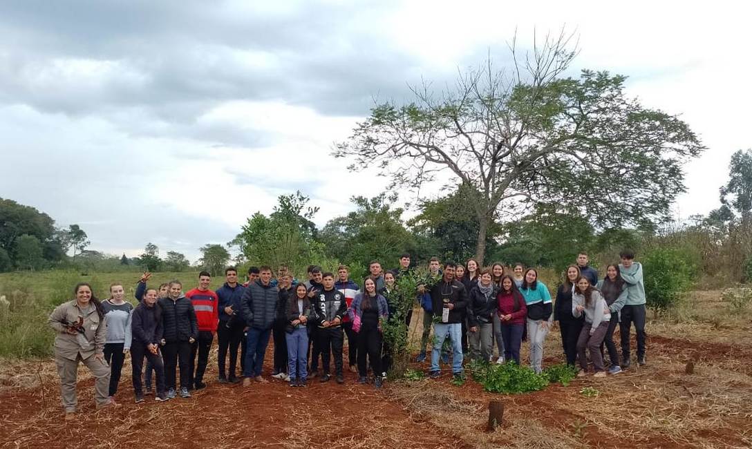 Imagen de Capacitaci&oacute;n sobre poda de yerba mate en la EFA de El Soberbio