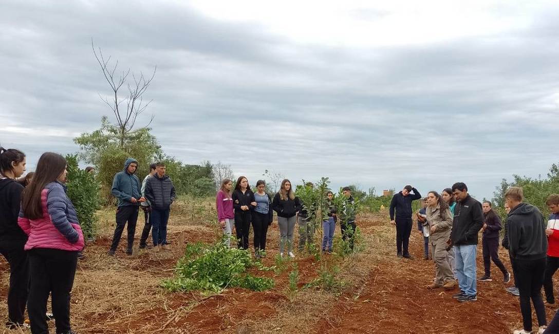 Imagen de Capacitaci&oacute;n sobre poda de yerba mate en la EFA de El Soberbio