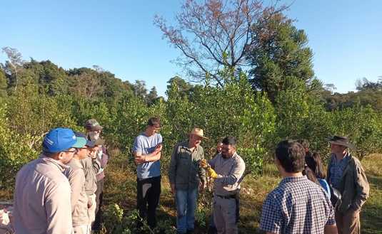 Imagen de Capacitación sobre técnicas de cosecha